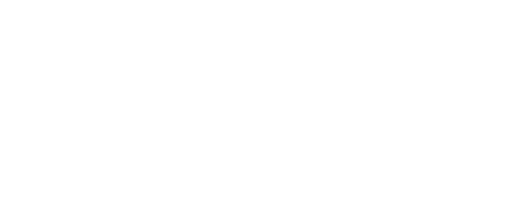 PER CAPIRE MEGLIO DI COSA SI TRATTA